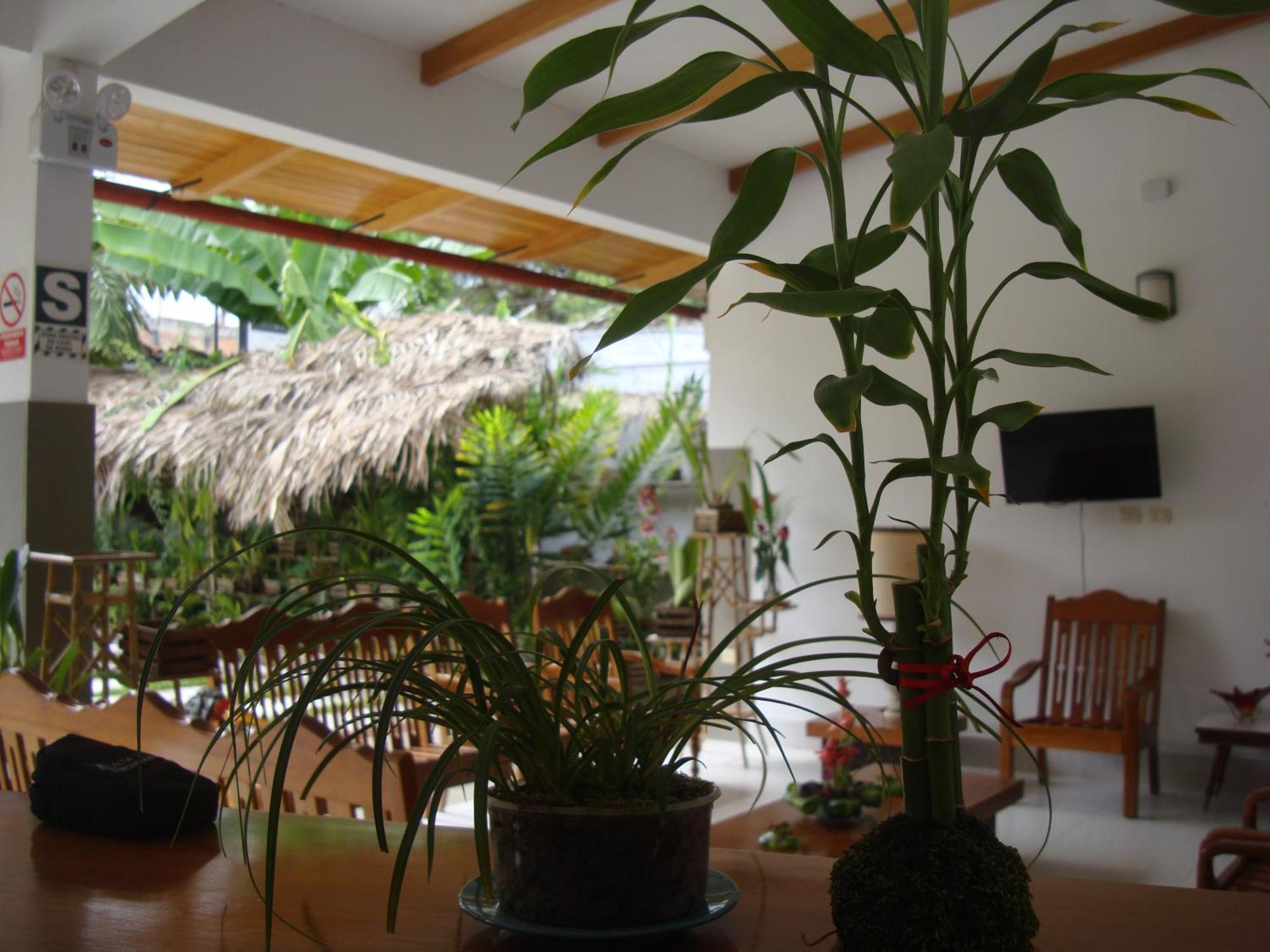 Altavista Casahotel - Asociado Casa Andina Moyobamba Exterior photo